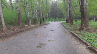 25 августа в Рязанской области ожидаются дожди и до +22