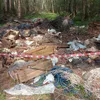 В лесах Владимирской области нашли 9 нелегальных свалок