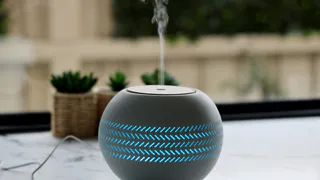 Забудьте про освежители: 7 капель в стакан воды — и аромат в доме как в саду