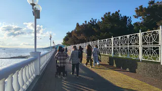 Пять пар слов, где одна буква меняет смысл