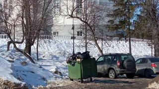В Пензе территорию у памятника Петру и Февронии портит вид мусорный контейнер