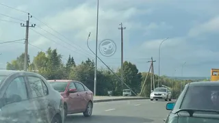 В Пензе ищут свидетелей аварии, где водитель въехал в световую опору