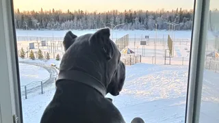 «Первый зимний месяц будет совершенно аномальным»: согласно обновлённому прогнозу синоптиков, такой погоды в декабре не было давно
