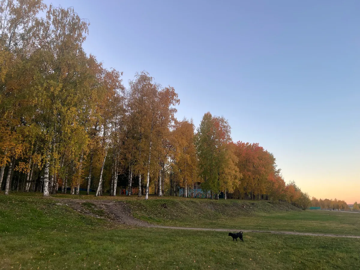 «Информация по сентябрю пугающая». Синоптики рассказали, к чему готовиться в начале осени