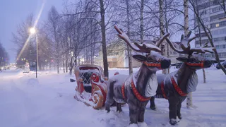 «Кошмар перед Рождеством». Синоптики озвучили пугающий прогноз на новогодние праздники