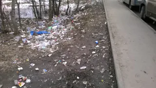 Рязанцы пожаловались на помойку, которую устроили маршрутчики в Недостоеве