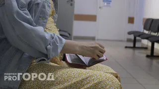 В Республике Коми стало больше двойняшек