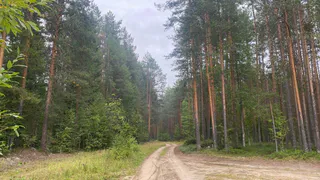 В Челябинской области в понедельник прогнозируют потепление до + 25 градусов