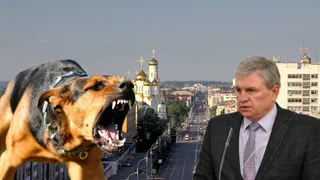 Брянскому чиновнику  грозит 7 лет лишения свободы