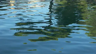 В Брянском районе утонул 13-летний мальчик