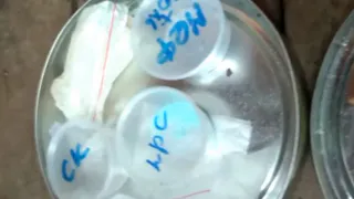 Младенец помогал прятать в Пронске закладки