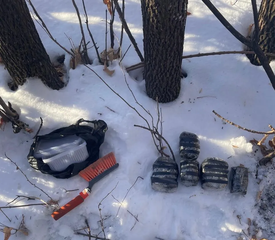 Почти 4 килограмма синтетических наркотиков в тайниках: оперативники задержали наркокурьера в Челябинской области