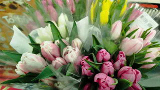 К Международному женскому дню в Челябинскую область поставили восемь миллионов срезанных цветов