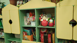 Северная "мама"-аферистка: жительница Коми подозревается в хищении полумиллиона детских пособий