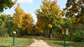 500 млн. рублей инвестируют в строительство Экопарка в Рязанском районе