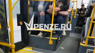 На ул. Терновского пожилая женщина упала в общественном транспорте