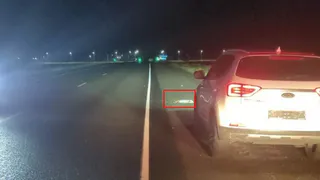 Житель Магнитогорска сбил зайца на трассе Озерное – Красная Башкирия и получил штраф