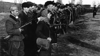 Богомаз предложил учредить медаль «75 лет освобождения Брянской области»