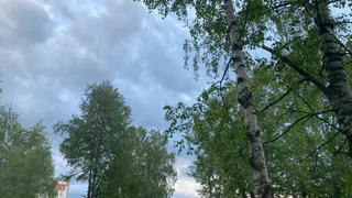 26 августа Чувашия ощутит дыхание осени: ветер принесет прохладу и дожди