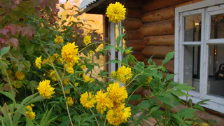 Ваша дача под прицелом: Новые правила с 1 июня 2025 года, которые изменят жизнь за городом