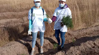 2000 саженцев: рязанские волонтеры высадили в Спасском районе сосны