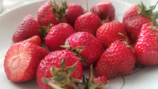 Экспортеры Коми рассматривают выход на рынки Китая и Турции