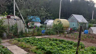 Докатились, теперь это полностью запрещено. Всех, у кого есть дача, ждет новое правило с 1 июля