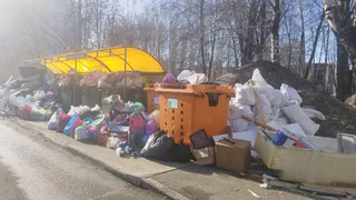 Жители Нижнекамска страдают из-за свалки на улице Тукая 