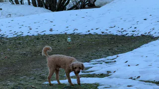 В Гидрометцентре назвали дату освобождения Татарстана от снега