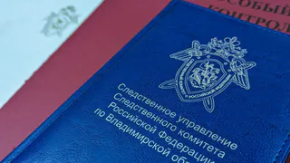 В суд направлено дело жительницы Владимира, которая нанесла травмы полицейскому