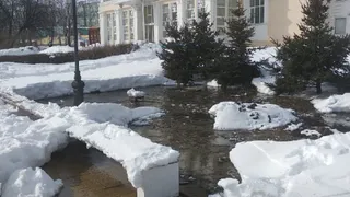 Была утечка: в мэрии рассказали, откуда на Лыбедском бульваре появилось озеро