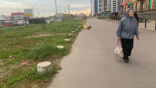 Пенсии резко повышают: третья прибавка за год для всех пенсионеров с 8 июля. Когда ожидать денежную выплату