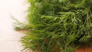 Как заморозить укроп: 3 хитрости, чтобы он оставался свежим и ароматным даже зимой