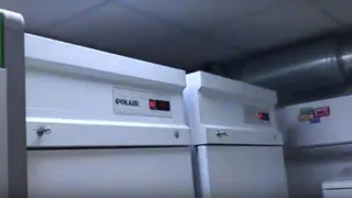 Жительница Брянска в одиночку сражается с владельцем кафе из-за шума