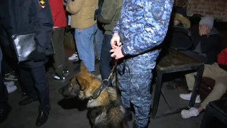 Накажут владельцев кафе: в выходные после 23:00 работали три заведения на Почтовой