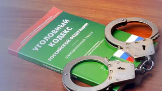 В Коми владелица приюта ответит перед законом за мучения и гибель животных: дело открыто