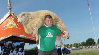 Когда в Нижнекамске состоится Сабантуй?