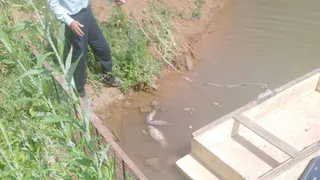 В одной из деревень Чувашии массово погибла рыба