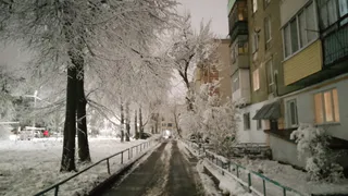 Скандинавский циклон: дыхание тепла в зимней Коми