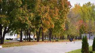 Прогноз погоды в Нижнекамске на четверг, 9 октября