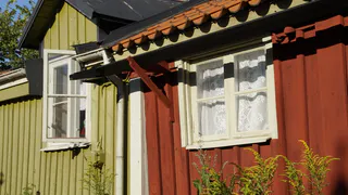 Такого дачники точно не ожидали: с 11 мая начнут сносить заборы на участках. Решено