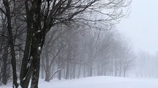 Жителей Пензенской области предупредили о гололеде 1 января