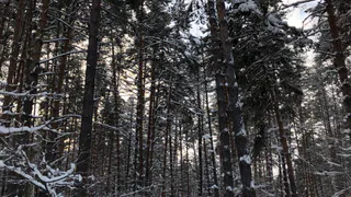 МЧС 5 января объявило метеопредупреждение из-за сильных морозов