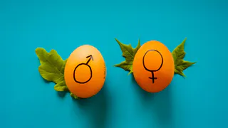 «Нам за сорок, как спасти брак»? Советы от интим-бутика