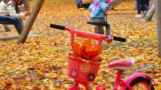 Синоптики рассказали, какая погода будет в Чувашии 8 октября