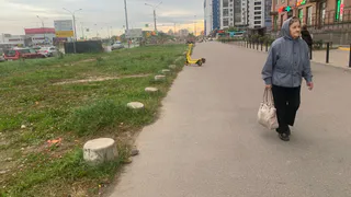 Решение принято. И для женщин и для мужчин 1953–1966 приятная льгота — пожилые ликуют от радости