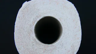 Попробуйте сами: зачем кладут туалетную бумагу в холодильник — гениальный лайфхак из Германии