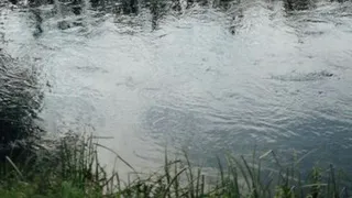 Уже 18 прудов Собинского района заселили молодью карася