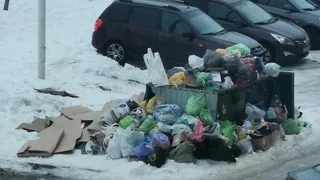 «Можно уже наконец вывести мусор?»