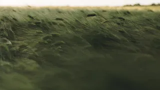 Усиление ветра и резкое понижение температуры - МЧС выпустило метеопредупреждение